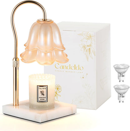 Candeldo Candle Warmer Lamp with Timer, Gold Flower Glass Shade