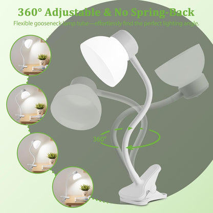 Desk Lamps for Home Office,Small LED Reading Lamp,5000K Eye-Care Desk Light
