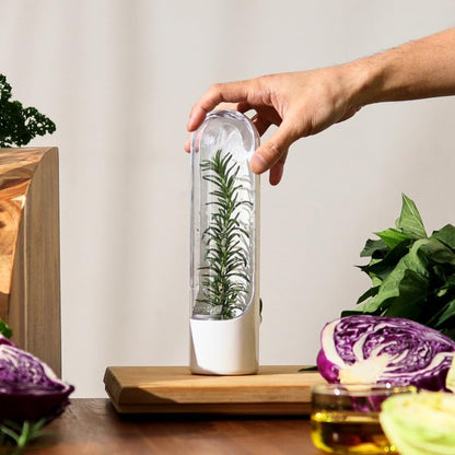 Prepara Herb Savor Pod 2.0, Set of 3,White