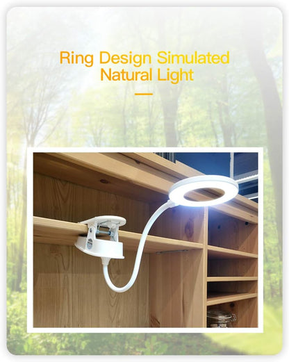 Clip on Reading Lamp, Battery Powered with 3 Brightness Levels, USB Rechargeable