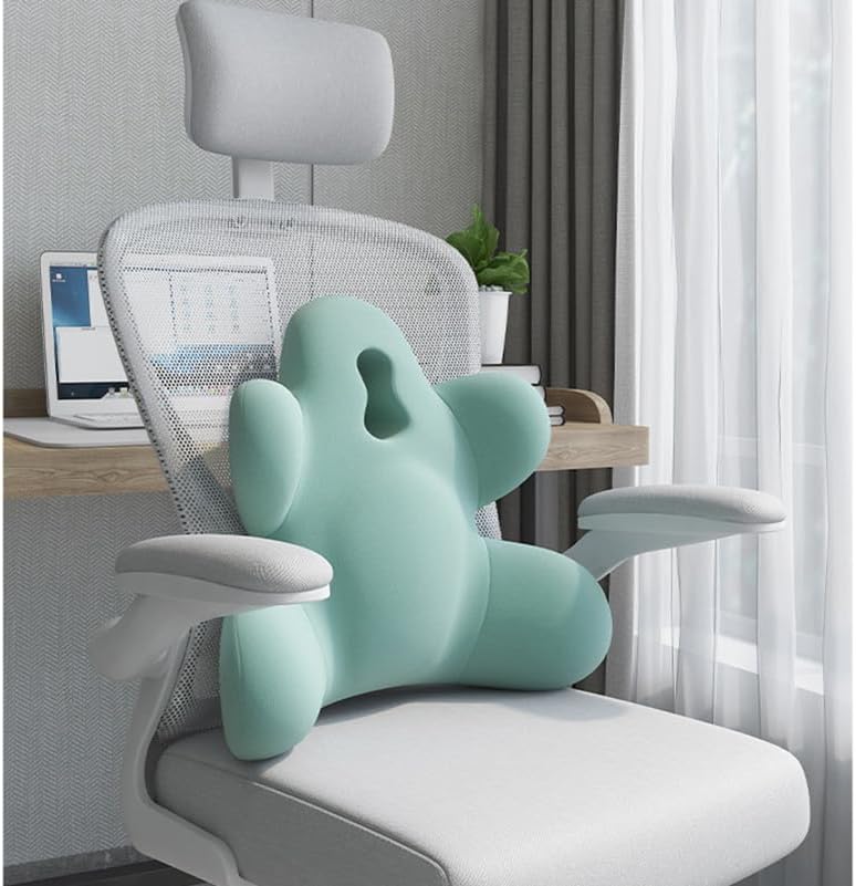 Lumbar Support Pillow for Office Chair, Back Support Pillow for Car, Chair