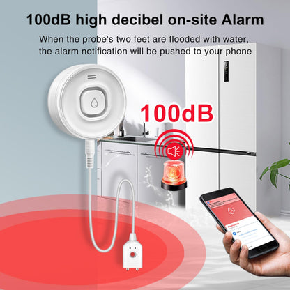Smart Water Leak Detector: WiFi Water Sensor with APP Push Notifications and Sound Alarm, Water Leakage and Low Water Level Monitoring, Compatible with Alexa, Google Home, Suit for Basement, Kitchen