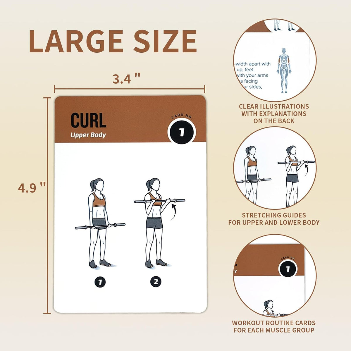 Half Balance Ball Workout Cards, 62 Exercises Cards Deck Large Size 5" x 3.5" Fitness Cards for Women & Men, Beginner Fitness Guide to Training Exercises at Home or Gym