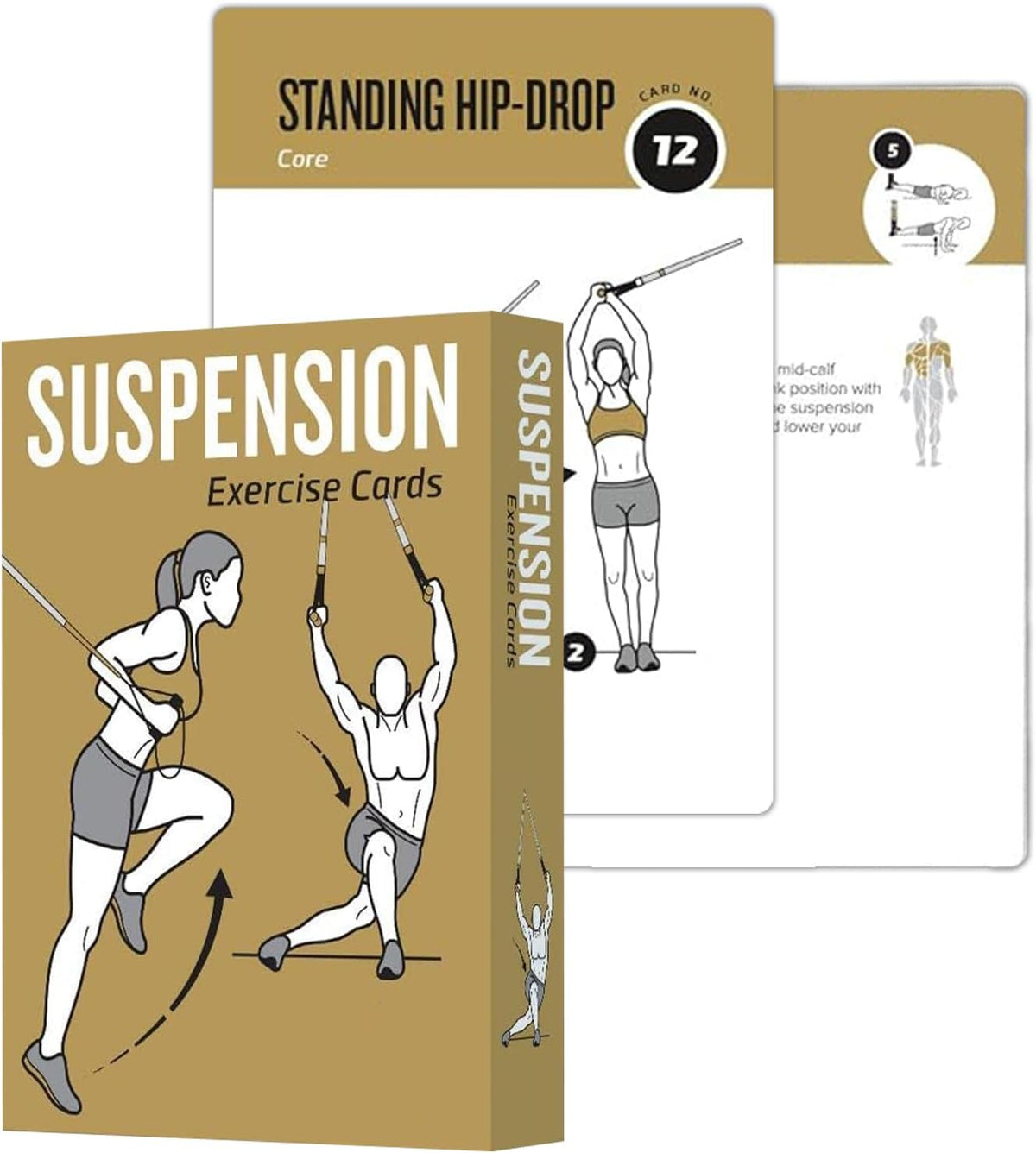 Half Balance Ball Workout Cards, 62 Exercises Cards Deck Large Size 5" x 3.5" Fitness Cards for Women & Men, Beginner Fitness Guide to Training Exercises at Home or Gym