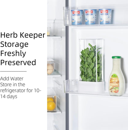 Green Saver Herb Keeper – Refrigerator Storage Container for Cilantro, Asparagus, Fresh Herbs, Dishwasher Safe, Extends Freshness 10 Days – 2 Pack
