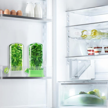 Herb Keeper for Refrigerator – Lettuce & Cilantro Container, Fresh Vegetable Saver Pod, Storage Bottle & Fresh-Keeping Box for Spinach, Asparagus, Celery, Mint (White)