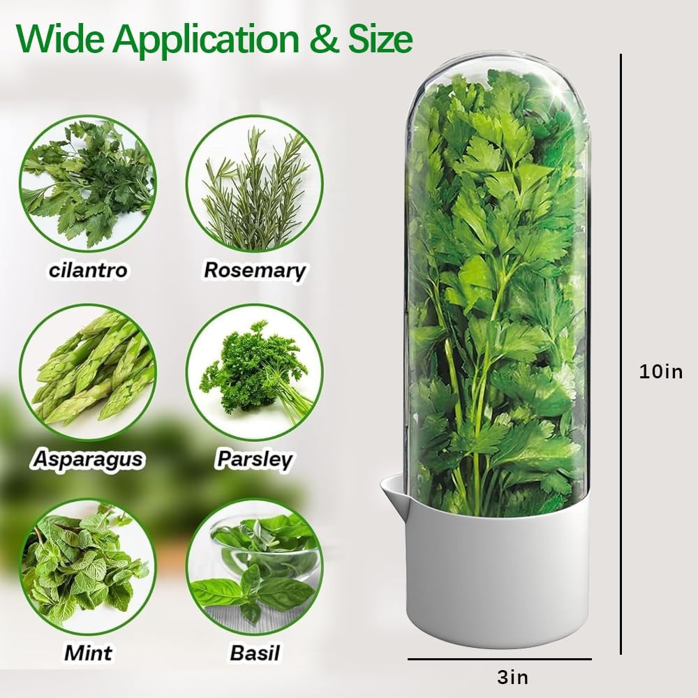 2 Pack Herb Keeper for Refrigerator, Clear BPA-Free Fresh Herb Saver | BPA-Free, Fridge Storage Container, For Cilantro, Parsley, Thyme, Mint & Asparagus, 2-3 Weeks Freshness