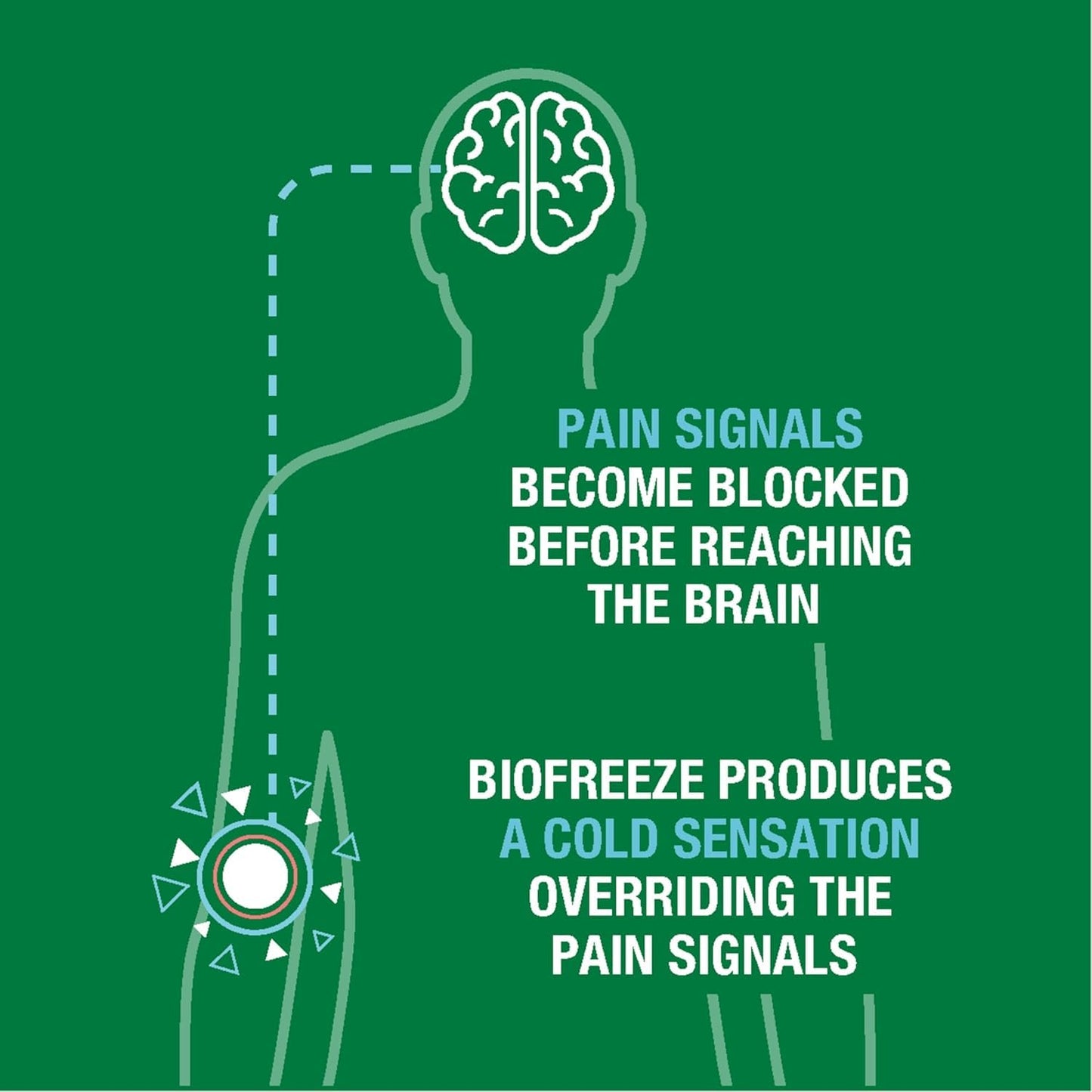 Biofreeze Day & Overnight Pain Relief Patches, Menthol Pain Patches for Arthritis & Muscle Pain Relief, Comfortable & Flexible Fabric Stays in Place, 9 Patches (6 Day, 3 Night)