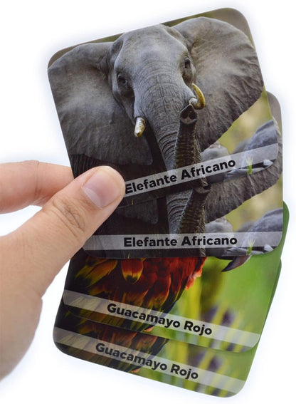 Menique Explore the World Memory Matching Game – Geography Game with 100 Photo Cards, 50 Countries, Flags & Landmarks – Travel Card Game with Educational Booklet, Ages 3+