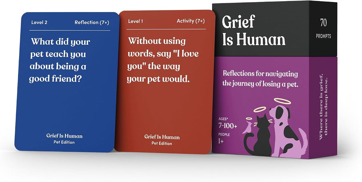 Friends are Human Conversation Cards for Friendship and Bonding, 140 Cards