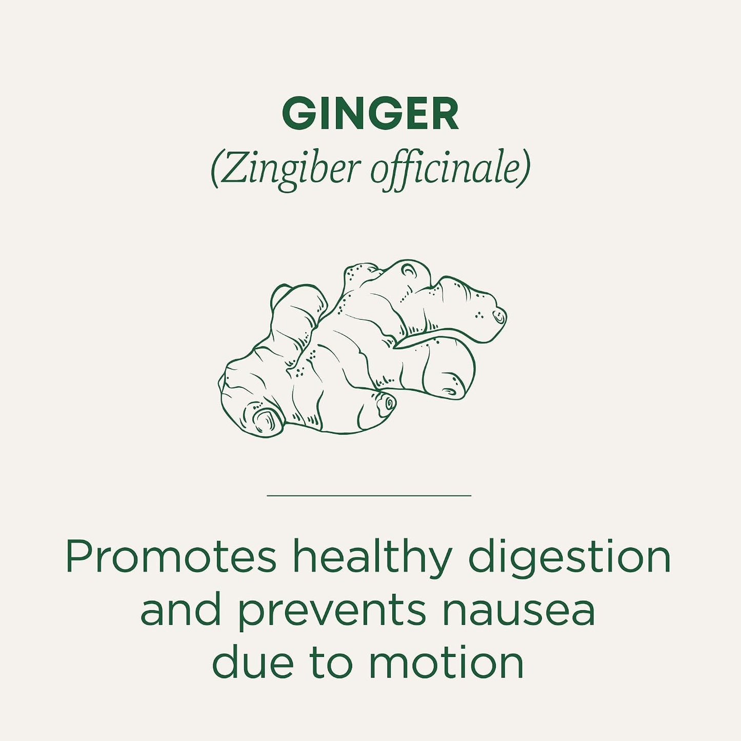 Traditional Medicinals Tea, Organic Ginger, Healthy Digestion, Pleasantly Spicy & Warming, 16 Tea Bags