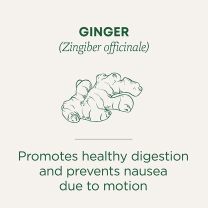 Traditional Medicinals Tea, Organic Ginger, Healthy Digestion, Pleasantly Spicy & Warming, 16 Tea Bags