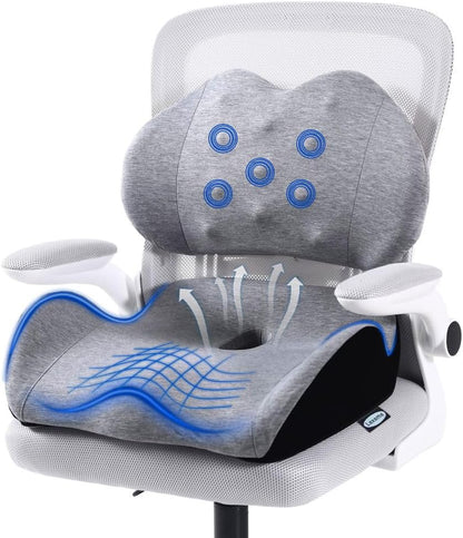 Lexeme X Large Memory Foam Seat Cushion Lumbar Support Pillow for Sciatica & Tailbone Pressure Relief Coccyx Pad for Office Chair, Car,Wheelchair,Home,Office