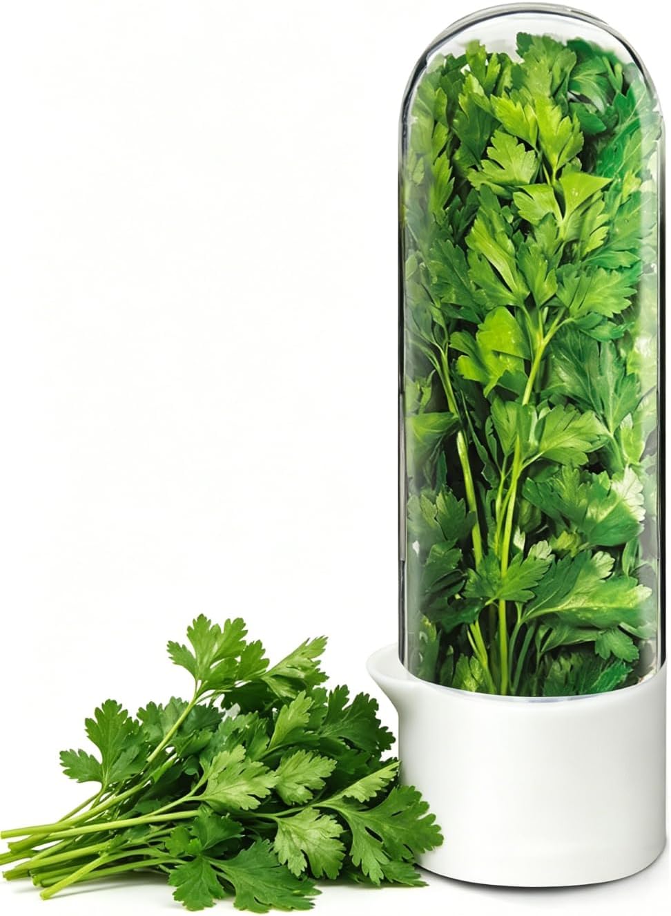 Herb Keeper for Refrigerator, Herb Saver for Refrigerator, Cilantro Container, Vegetable Preservation Bottle for Cilantro, Mint, Parsley, Asparagus, Keeps Greens Fresh for 2-3 Weeks (2PCS)