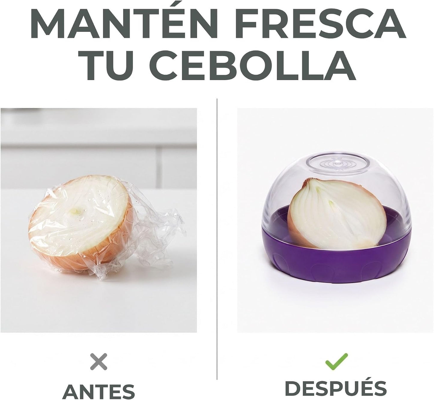 Progressive Prepworks Purple Onion Keeper (1, A)