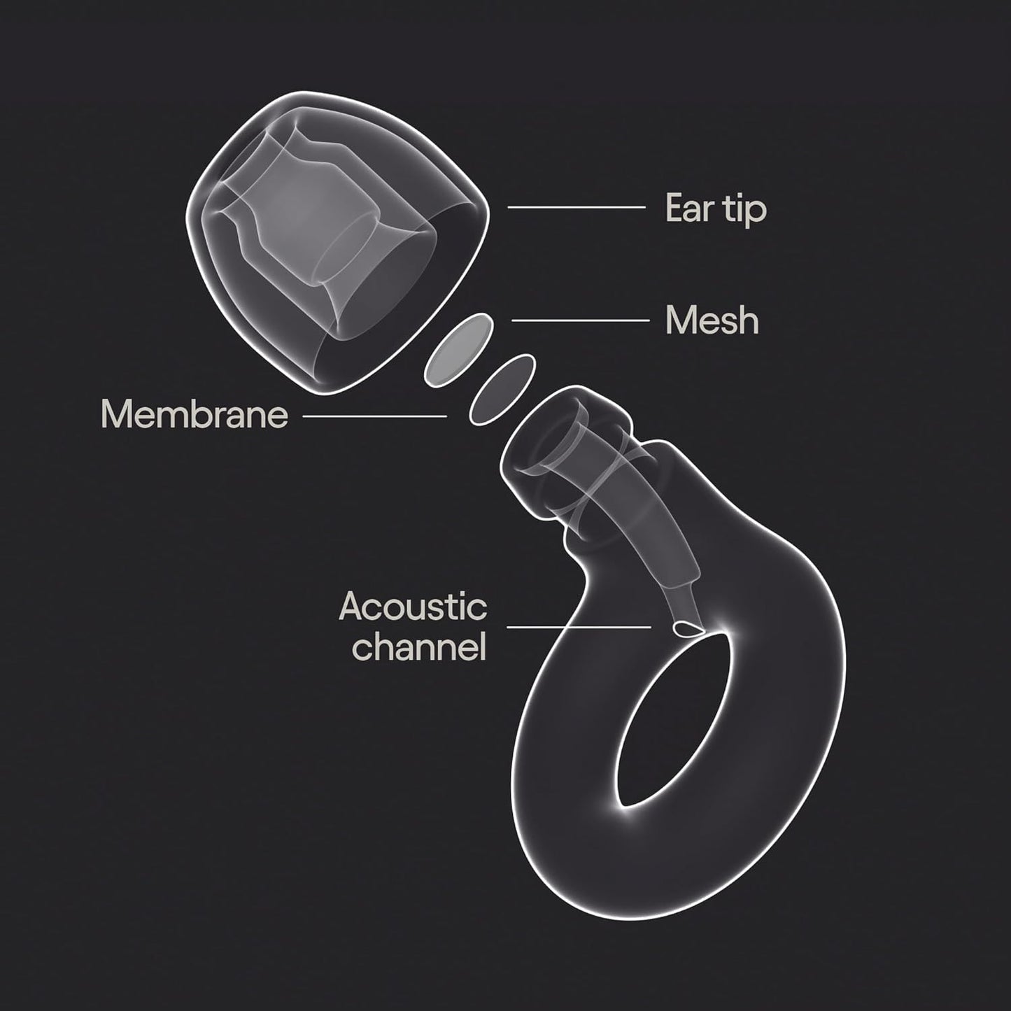 Loop Experience 2 Ear Plugs - Stylish Certified Hearing Protection | 17dB SNR noise reduction (high-fidelity). For concerts, festivals, live events, musicians, sports, DJs & nightlife