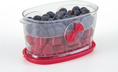 PrepSolutions Fresh Fruit & Vegetable Keeper, Green – Airtight Container with Vent for Prolonged Freshness | Airtight Storage Container Features Adjustable Vent for Prolonged Freshness, BPA-Free and Dishwasher Safe