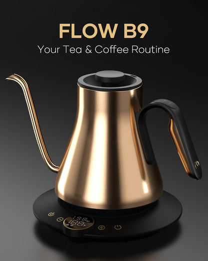 Cocinare Gooseneck Electric Kettle, ±1°F Precise Temperature Control, 1500W Fast Heating, Pour Over Coffee & Tea Kettle with Brew Timer & Keep Warm, Stainless Steel, 0.9L (Matte Black)