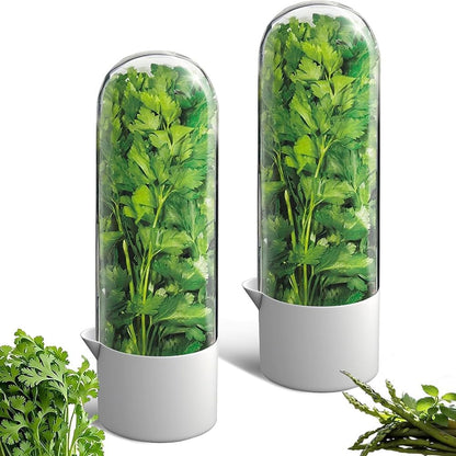 2 Pack Herb Keeper for Refrigerator, Clear BPA-Free Fresh Herb Saver | BPA-Free, Fridge Storage Container, For Cilantro, Parsley, Thyme, Mint & Asparagus, 2-3 Weeks Freshness