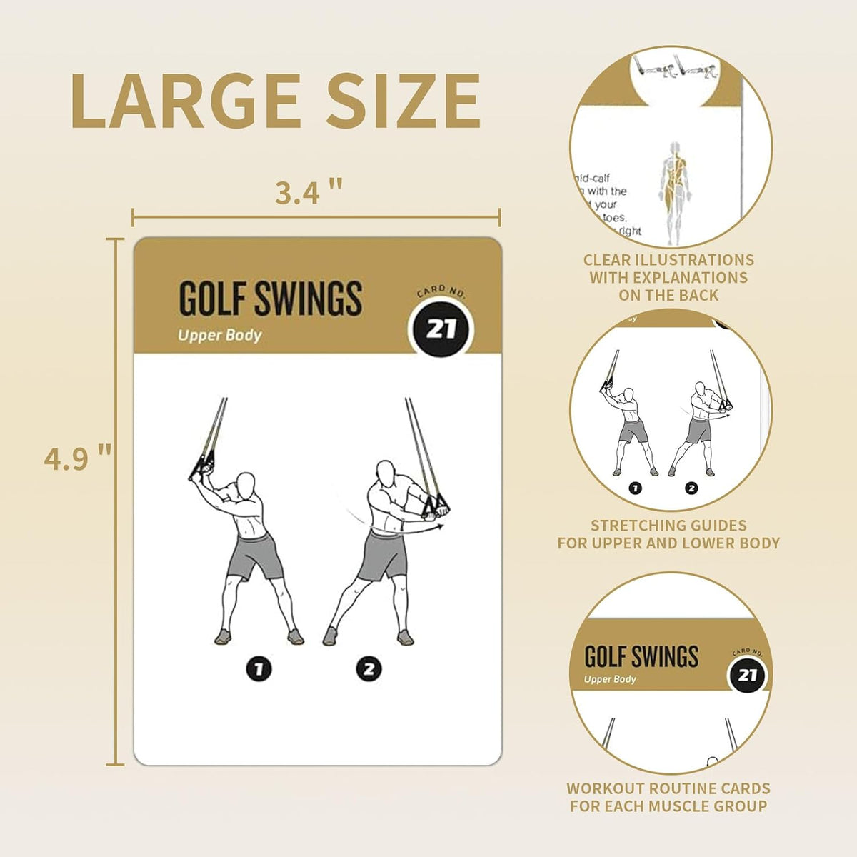Half Balance Ball Workout Cards, 62 Exercises Cards Deck Large Size 5" x 3.5" Fitness Cards for Women & Men, Beginner Fitness Guide to Training Exercises at Home or Gym