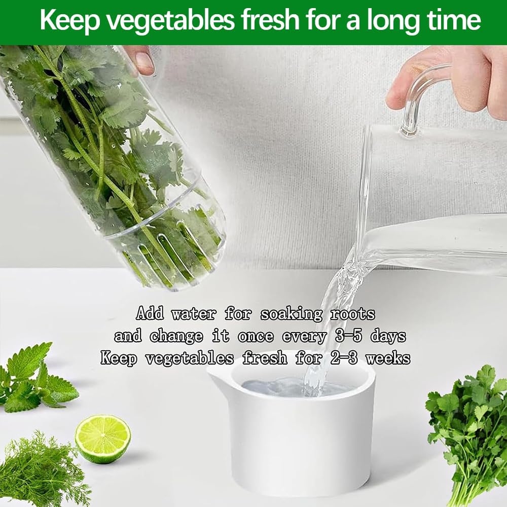 2 Pack Herb Keeper for Refrigerator, Clear BPA-Free Fresh Herb Saver | BPA-Free, Fridge Storage Container, For Cilantro, Parsley, Thyme, Mint & Asparagus, 2-3 Weeks Freshness