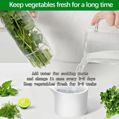 2 Pack Herb Keeper for Refrigerator, Clear BPA-Free Fresh Herb Saver | BPA-Free, Fridge Storage Container, For Cilantro, Parsley, Thyme, Mint & Asparagus, 2-3 Weeks Freshness