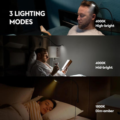 acegoo Wall Mounted Minimalist Bedside Reading Light, Wooden Headboard Mount Flexible Neck Book Light, Handy Lamp Head Switch, CRI 98+ 4000K LED, Powered by USB