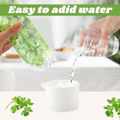 Herb Keeper for Refrigerator, Cilantro Container for Fridge, 3 Pack | Herb saver for refrigerator with upright stem storage for cilantro, parsley, basil, mint, and fresh herbs