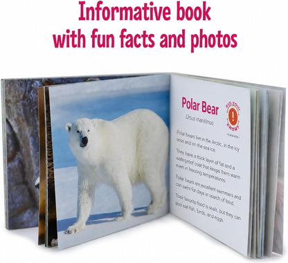 Menique Explore the World Memory Matching Game – Geography Game with 100 Photo Cards, 50 Countries, Flags & Landmarks – Travel Card Game with Educational Booklet, Ages 3+
