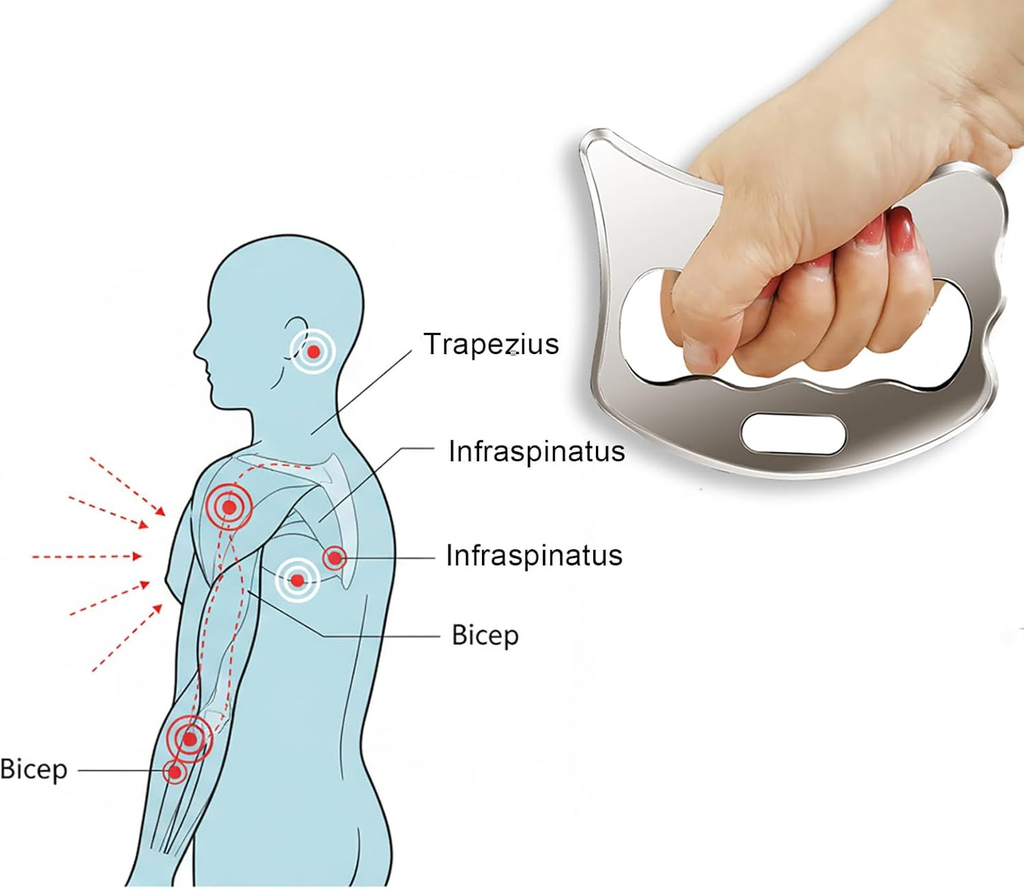 304Stainless Steel Gua Sha Derma Edge Massage Tools-Scraping Massage Tools,Muscle Scraper Tool (D2)