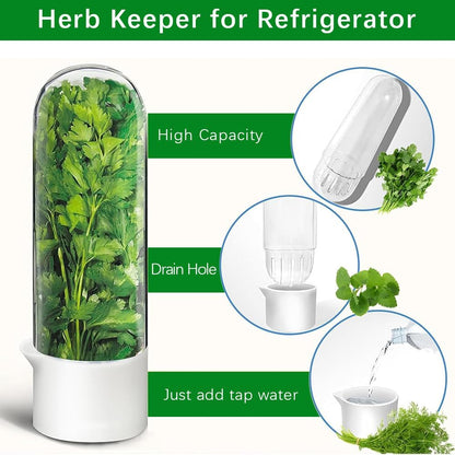 2 Pack Herb Keeper for Refrigerator, Clear BPA-Free Fresh Herb Saver | BPA-Free, Fridge Storage Container, For Cilantro, Parsley, Thyme, Mint & Asparagus, 2-3 Weeks Freshness