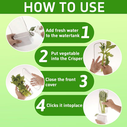 2PCS Herb Keeper For Refrigerator,Fresh Vanilla, Cilantro, Asparagus And Peppermint Fresh Vanilla Preservation Box,Keeps Greens Fresh For 2-3 Weeks