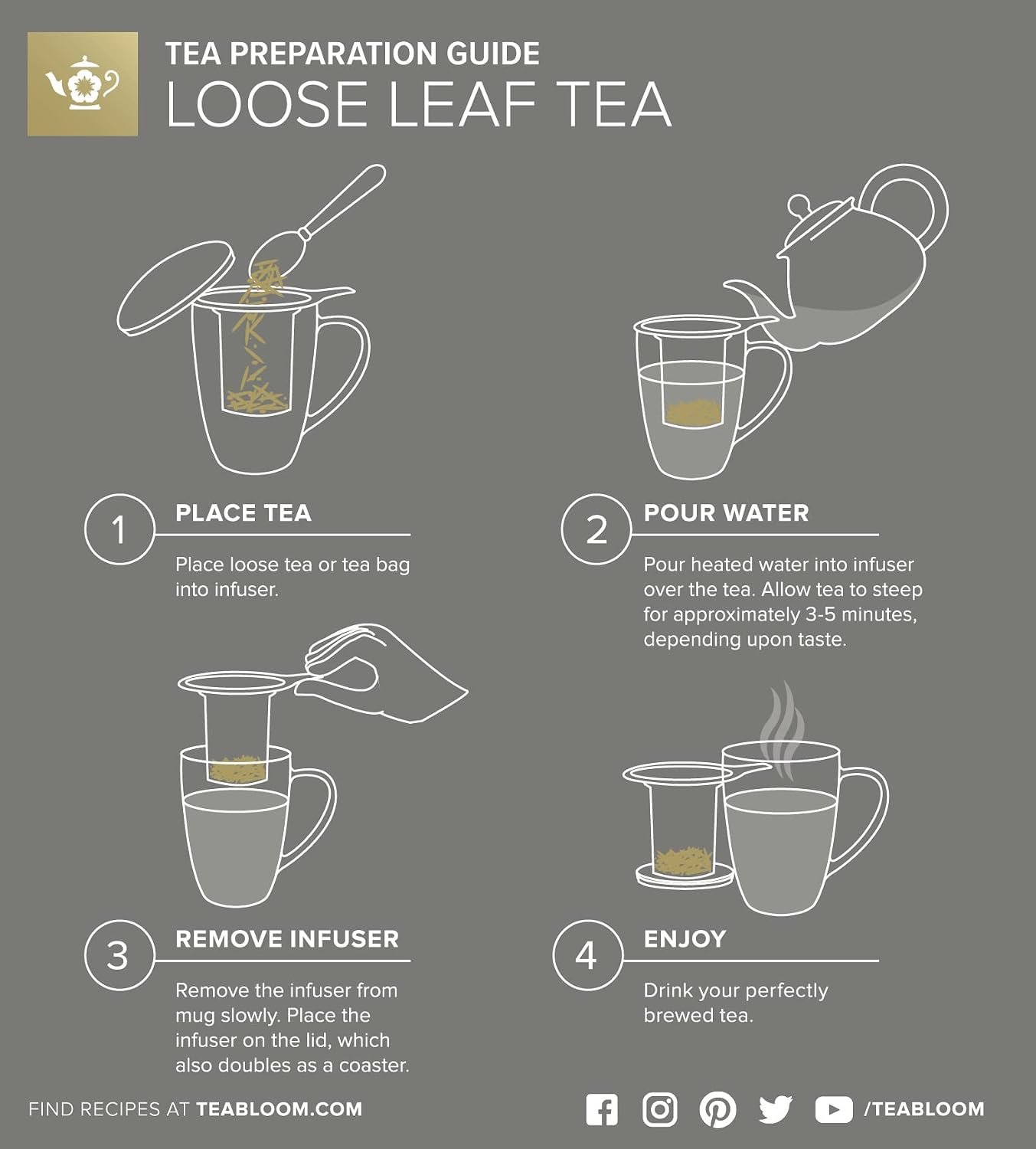 Teabloom Stay-Hot Heatproof Glass Mug with Loose Tea Infuser and Lid – 15 oz /430 mL – 2 Blooming Teas Included