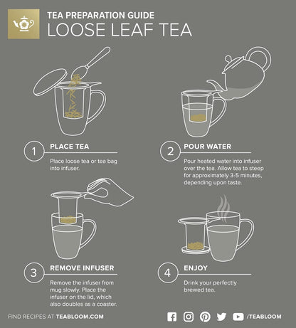 Teabloom Stay-Hot Heatproof Glass Mug with Loose Tea Infuser and Lid – 15 oz /430 mL – 2 Blooming Teas Included