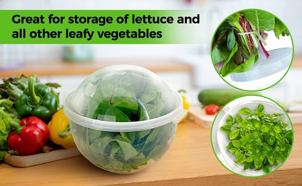 Trenton Gifts Lettuce And Vegatable Storage Keeper | 7" X 8"