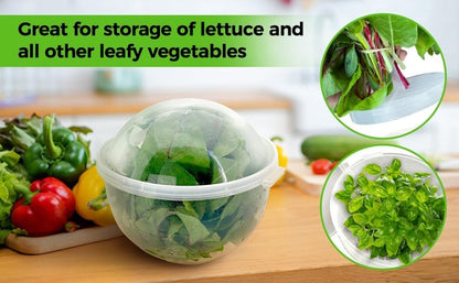 Trenton Gifts Lettuce And Vegatable Storage Keeper | 7" X 8"