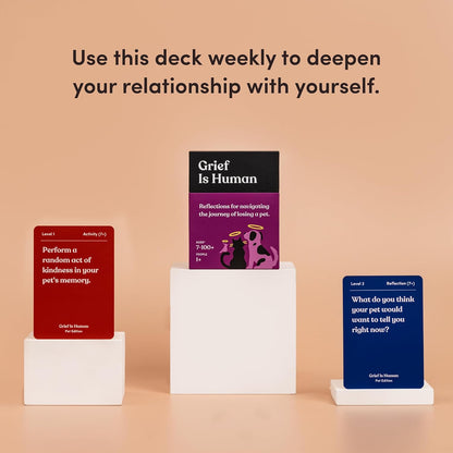 Friends are Human Conversation Cards for Friendship and Bonding, 140 Cards