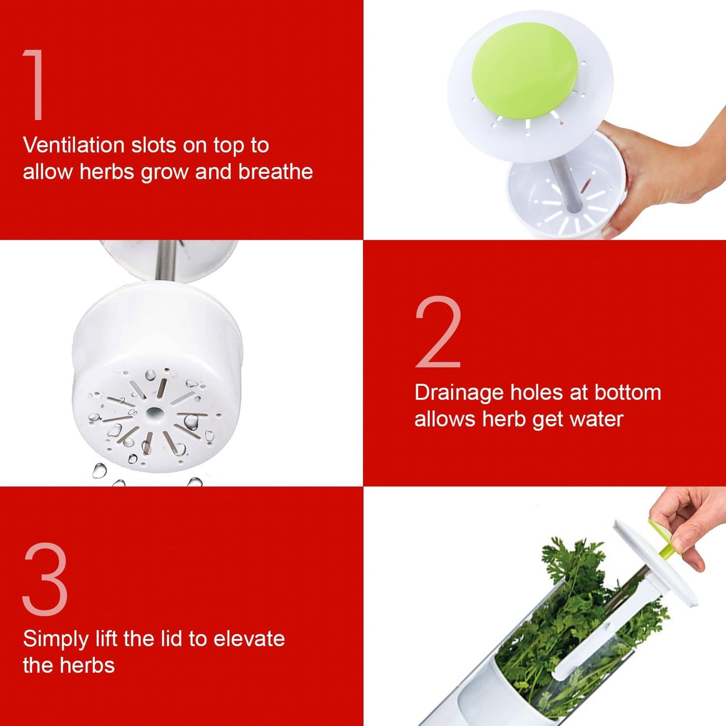 Herb Keeper and Herb Saver – Premium Borosilicate Glass Storage Container with Ventilation Slots – Easy Access Top Lid Produce Saver Cilantro Container with Drainage Holes