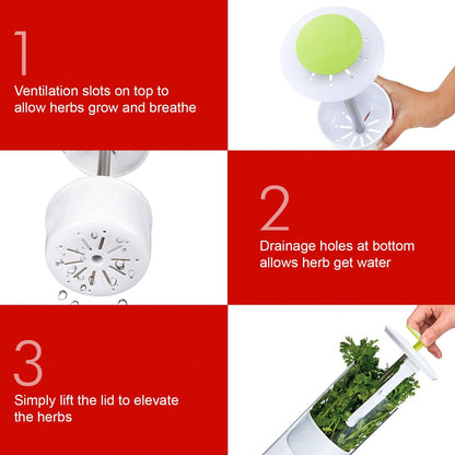 Herb Keeper and Herb Saver – Premium Borosilicate Glass Storage Container with Ventilation Slots – Easy Access Top Lid Produce Saver Cilantro Container with Drainage Holes