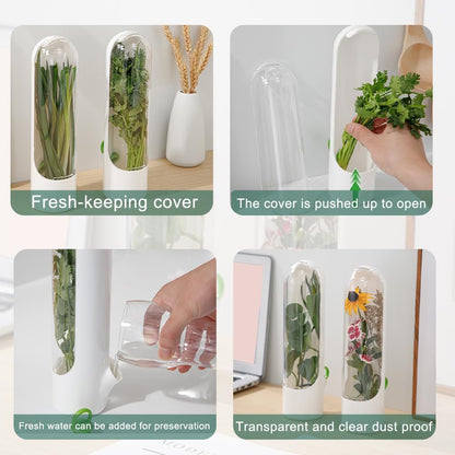 Herb Saver for Refrigerator, 2 Pack Herb Keeper for Cilantro | Upright herb storage pods with water base for cilantro, parsley, basil, mint and other slim fridge door bin herbs