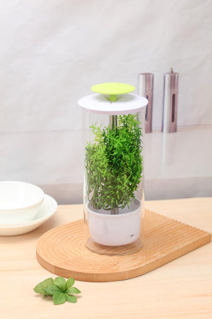Herb Keeper and Herb Saver – Premium Borosilicate Glass Storage Container with Ventilation Slots – Easy Access Top Lid Produce Saver Cilantro Container with Drainage Holes