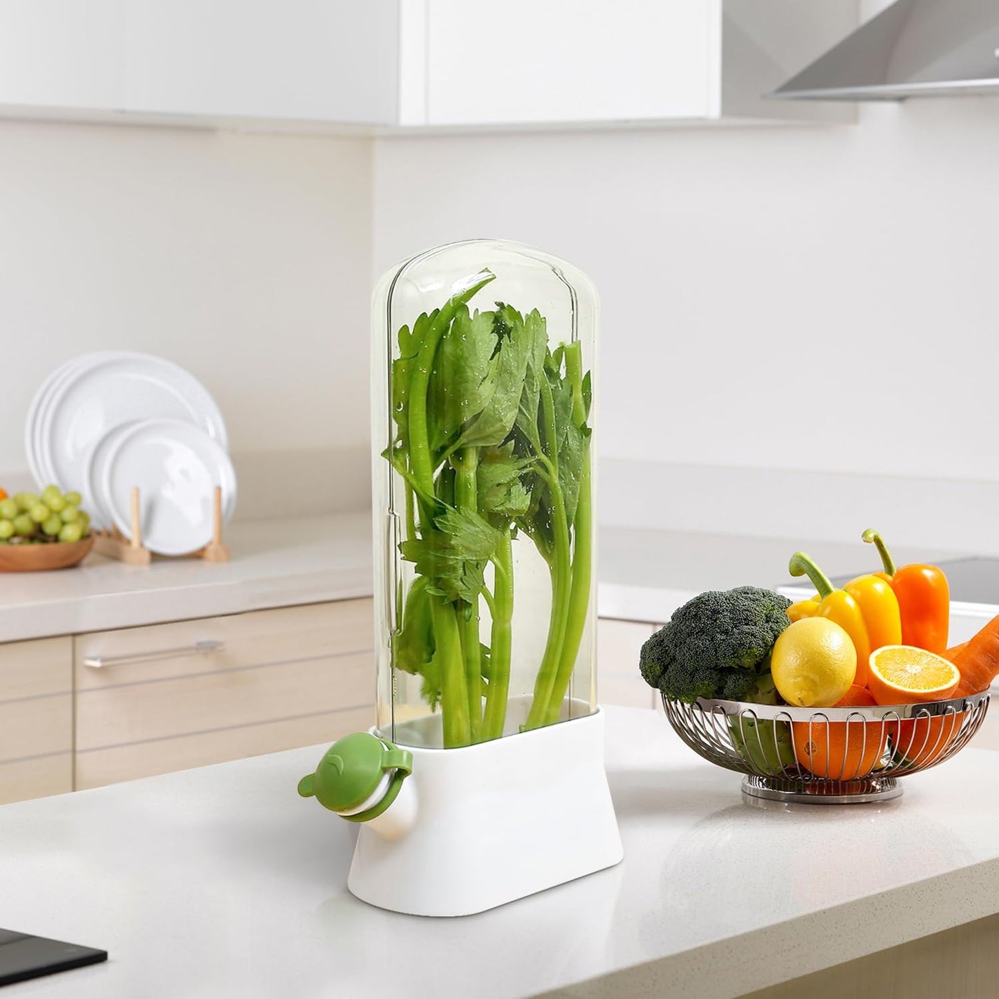 Herb Keeper for Refrigerator - Premium Herb Saver, Keep Cilantro Fresh, Versatile Herb Keeper for Prolonging Freshness of All Herbs