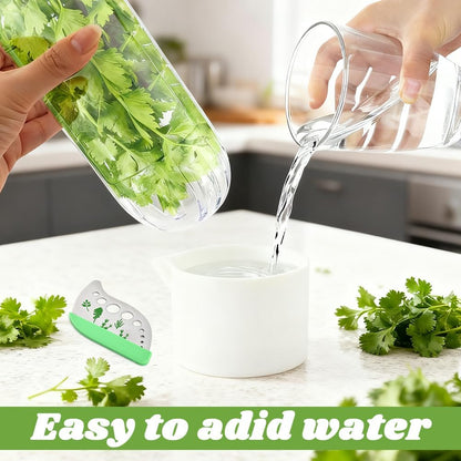 3Pcs Refrigerator Herb Keeper Containers,Herb Saver Jars with Herb Stripper | Clear Plastic 10×3in Jar,Keeps Herbs Fresh 2–3 Weeks,Dishwasher Safe,Fits Cilantro Asparagus,Stainless Steel Herb Stripper