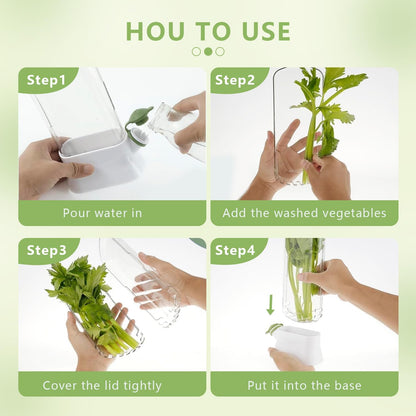 Herb Keeper for Refrigerator - Premium Herb Saver, Keep Cilantro Fresh, Versatile Herb Keeper for Prolonging Freshness of All Herbs