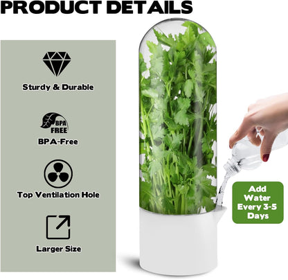3 Pack Herb Saver for Refrigerator Large Fresh Herb Keeper Cilantro Container for Refrigerator Vegetable Preservation Container for Cilantro Asparagus Mint Rosemary Parsley Basil for 2-3 Weeks