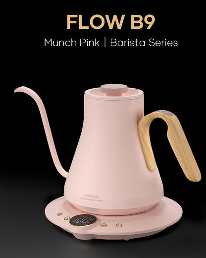 Cocinare Gooseneck Electric Kettle, ±1°F Precise Temperature Control, 1500W Fast Heating, Pour Over Coffee & Tea Kettle with Brew Timer & Keep Warm, Stainless Steel, 0.9L (Matte Black)