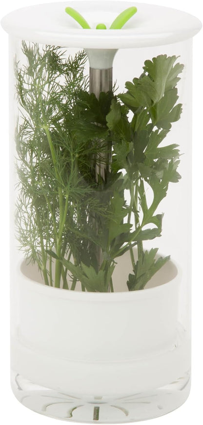 Honey-Can-Do Glass Herb Preserver, Clear/White, medium