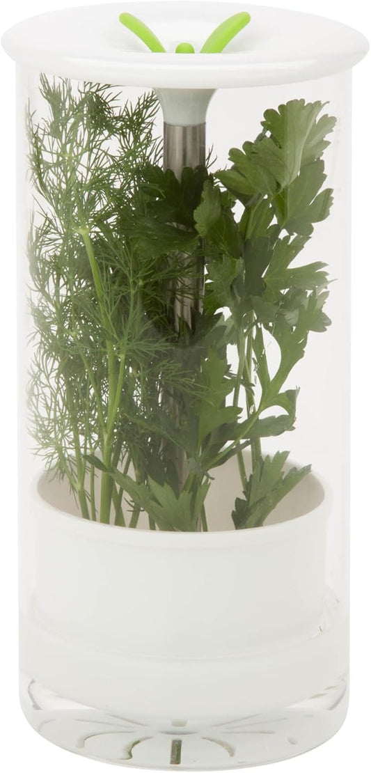 Honey-Can-Do Glass Herb Preserver, Clear/White, medium