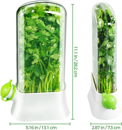 Herb Keeper for Refrigerator – Lettuce & Cilantro Container, Fresh Vegetable Saver Pod, Storage Bottle & Fresh-Keeping Box for Spinach, Asparagus, Celery, Mint (White)