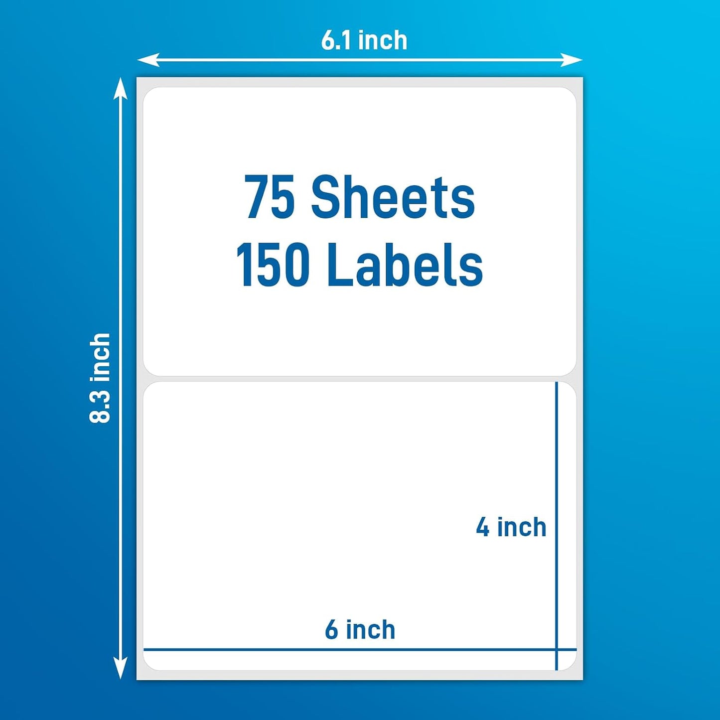 7000 Pcs 1 Inch Removable Day Dots Food Labels | 7 Rolls Date Stickers for Food, No-Residue Left, Day Labels for Restaurant Kitchen Containers, Self Adhesive Day Dot Sticker